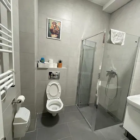 Joy Vracar 3 Bedrooms 2 Bathrooms Apartment Belgrade