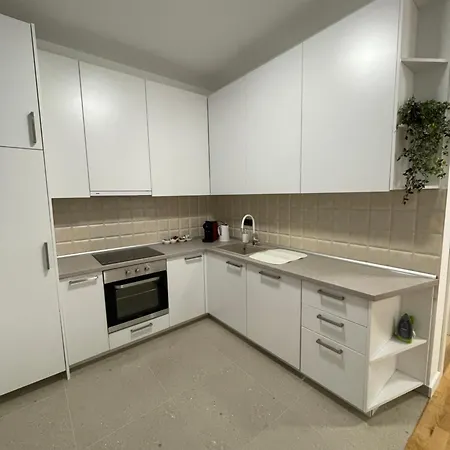 Joy Vracar 3 Bedrooms 2 Bathrooms Apartment Belgrade