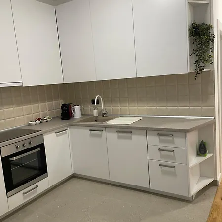 Joy Vracar 3 Bedrooms 2 Bathrooms Apartment Belgrade